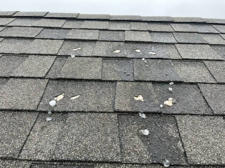 Pea-size hail damage